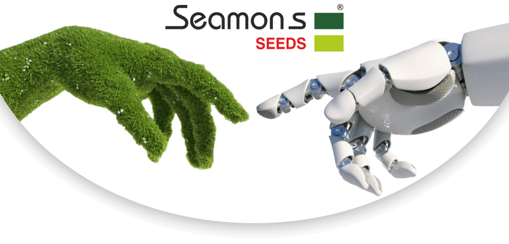 Seamons Seeds