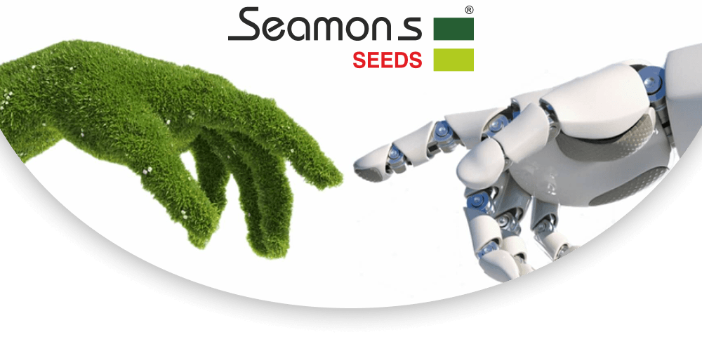 Seamons Seeds